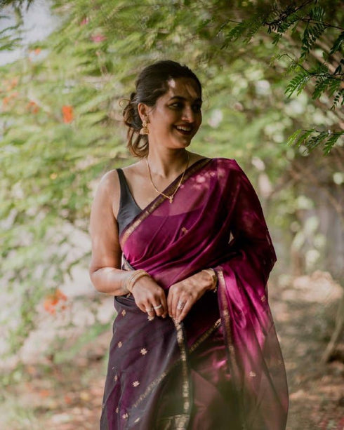 Vasthrlay Kanjivaram Saree