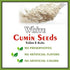 J Organics White Cumin Seeds
