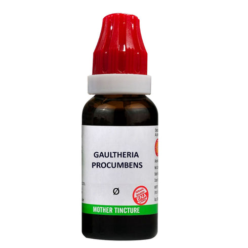 Bjain Gaultheria Procumbens Q Mother Tincture