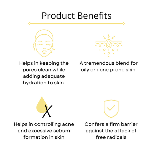 Omorfee India Visage Oil Balance Facial Moisturizer