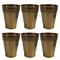 Pure Brass Traditional Drinking Glass | Pack of 6