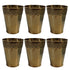 Pure Brass Traditional Drinking Glass | Pack of 6