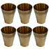Pure Brass Traditional Drinking Glass | Pack of 6