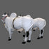 Large Fiber Ongole Bull Pair - Table Decoration Figurines