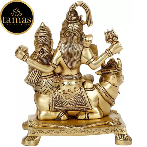 Tamas Brass Shiv Parivar With Nandi Statue(Golden)