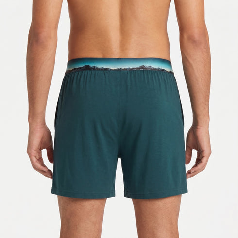 Bummer Modal Stretch Boxers - Aurora