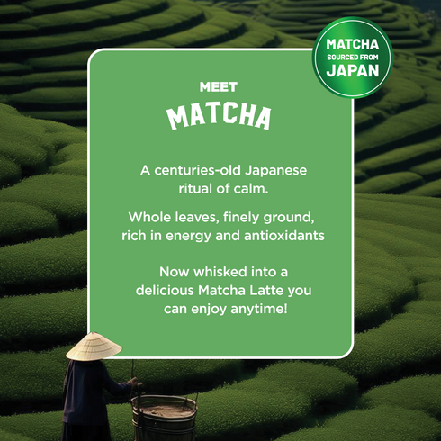 Sleepy Owl Coffee Matcha Latte Premix - Classic