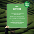 Sleepy Owl Coffee Matcha Latte Premix - Classic