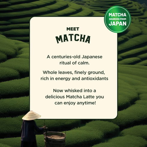 Sleepy Owl Coffee Vanilla Matcha Latte Premix