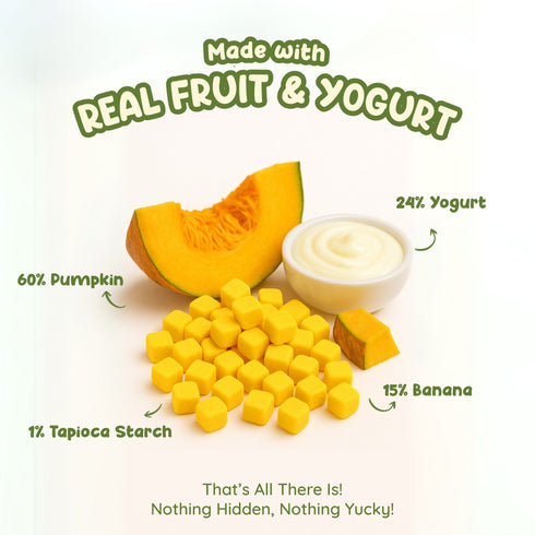 Rorosaur Pumpkin Yogurt Melts