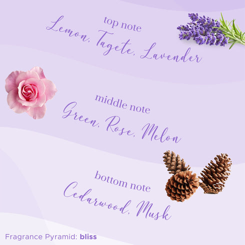PureSense Bliss Lavender Luxury Body Spray | From the makers of Parachute Advansed