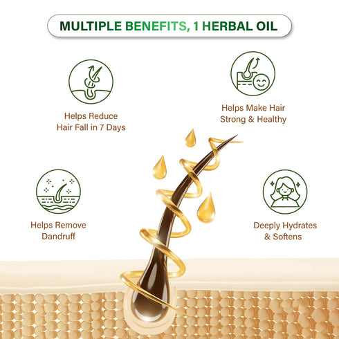 Niconi Herbal Hair Oil (Comb Applicator) 200ml