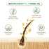 Niconi Herbal Hair Oil (Comb Applicator) 200ml