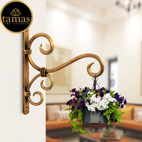 Tamas Brass Wall Mount Bird Feeder & Houses Planters Lanterns Wind Chimes Hanging Baskets (Golden Brown)