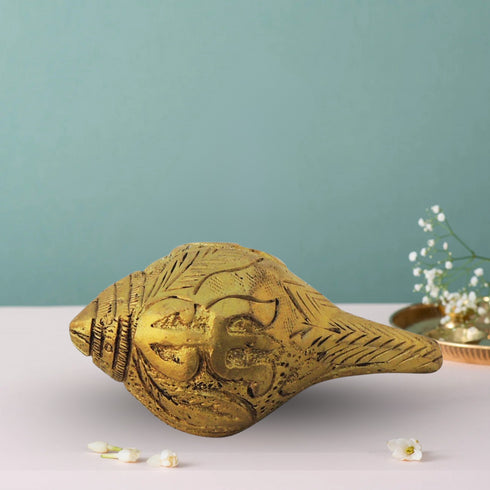Brass Shank Conch 0.12Kg