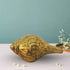 Brass Shank Conch 0.12Kg