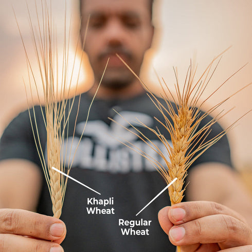 ROSIER Khapli Emmer Wheat Atta