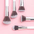 Praush 5 Pcs Essentials Face Brush Set