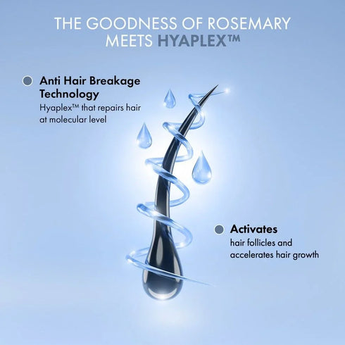 Thriveco Rosemary Shampoo Rosemary Conditioner Combo