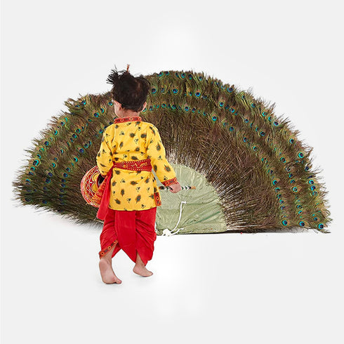 Raj Fancy Dresses Radha and Krishna Feather| Print Janmashtami Mythological Character Costume