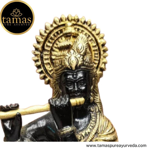 Tamas Brass Handcrafted Lord Krishna Murti Statue/ Idol with Antique Finish ( Black & Golden) (Pack of 1)