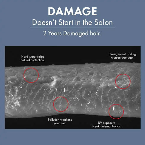 Thriveco Hair Healing Shampoo