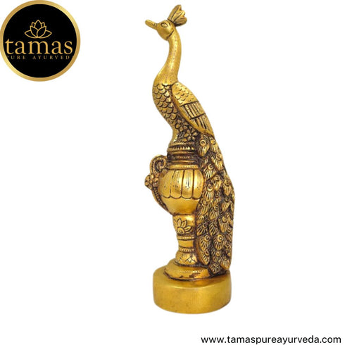 Tamas Brass Handcrafted Peacock Sitting on a Urn Statue / Idol with Antique Finish