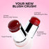 Praush Juicy Jelly Tint - For Cheeks And Lips