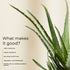 Dr Elie Organics Hydrating & Moisturizing Aloe Vera Gel