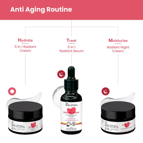 The Skin Story Anti-Aging Radiant Night Cream