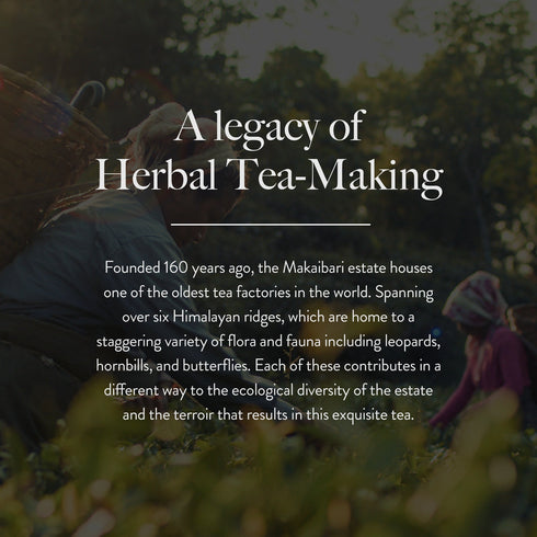 Wellbeing Nutrition Her Care Herbal Tea
