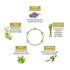 Keya Seth Aromatherapy Alopex Penta Active 10, Solution for New Hair Growth & Hair Fall Control