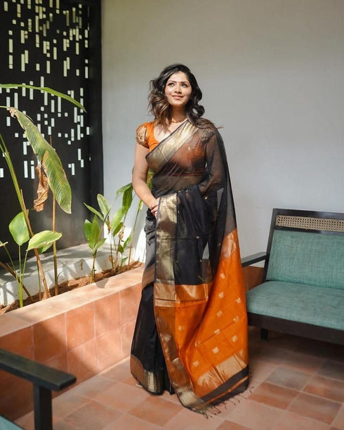 Vasthrlay Kanjivaram Saree