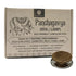 OrganicDews Panchagavya Cow Dung Diya Vilakku Deepam
