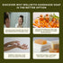 Wellwith By Ayuzera Sea Buckthorn Natural Soap Bar