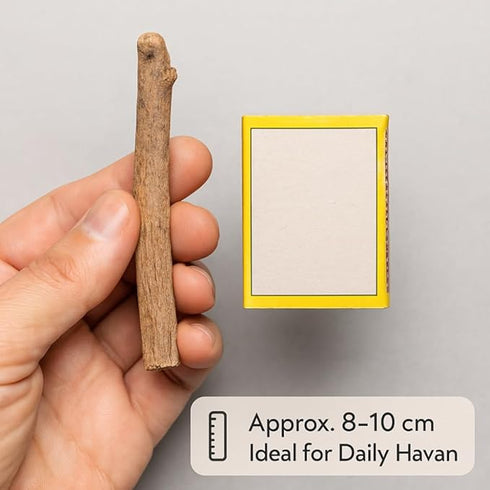 Peepal Havan Samidha Sticks Pipal Ki Lakdi 450g