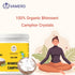 Vamero Bhimseni Camphor 500G | 100% Pure Pacha Karpooram
