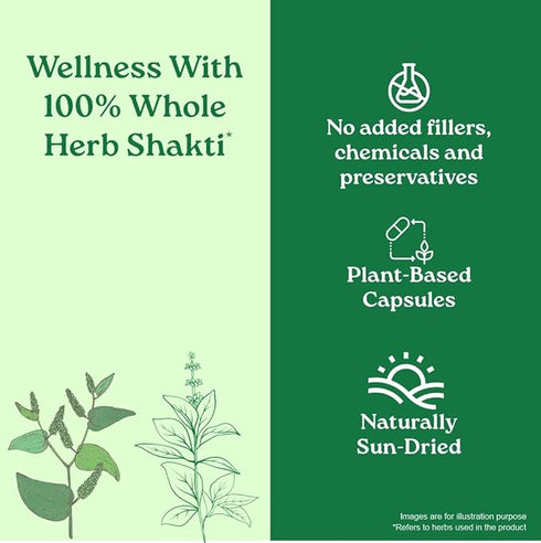 Organic India Breathe Free Veg Capsules