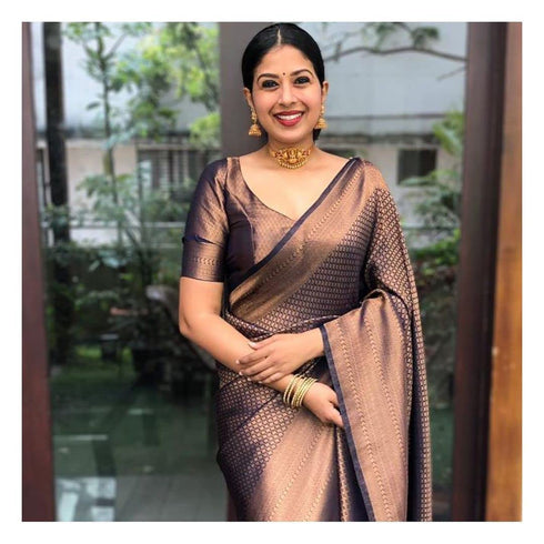 Vasthrlay Banarasi Saree