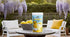 EATERY HARVEST by Saipro Lemonade Instant PreMix Powder