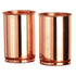 Set of 2 Hand Crafted Pure Copper Tumbler
