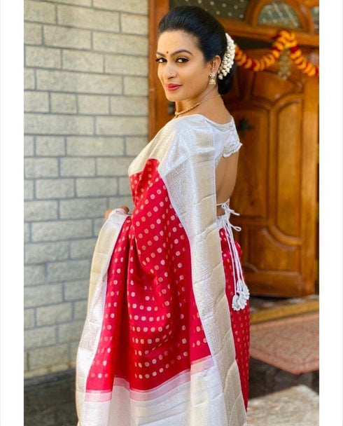 Vasthrlay Banarasi Saree