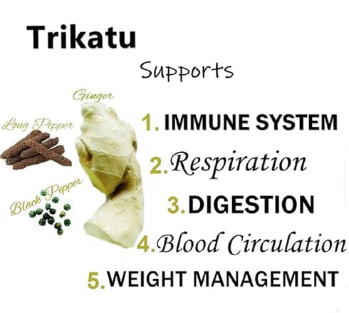 Himalaya Wellness Pure Herbs Trikatu Digestive Wellness 60Tabs