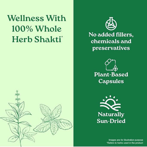 Organic India Immunity Capsules