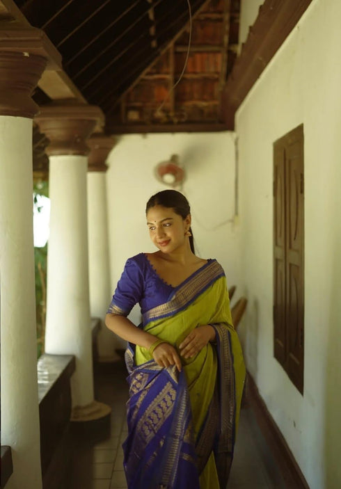 Vasthrlay Black Kanjivaram Traditional Saree