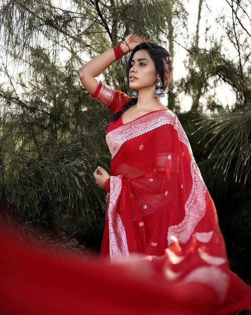 Vasthrlay Kanjivaram Border Saree