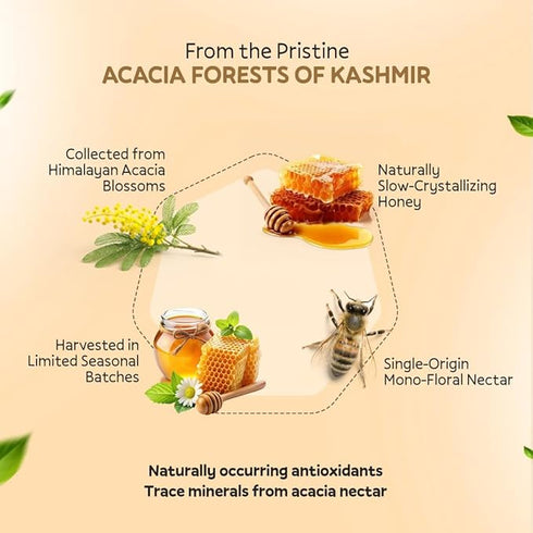 HUMTREE - Kashmiri Acacia Raw White Honey- 250gms