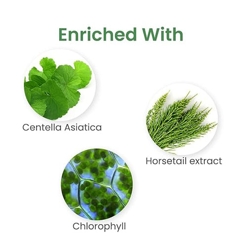 Earth Rhythm Phyto | Gel