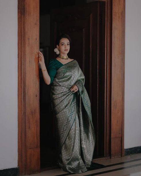 Vasthrlay Banarasi Saree