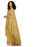 Vasthrlay Shimmer Embroidery Pista Saree